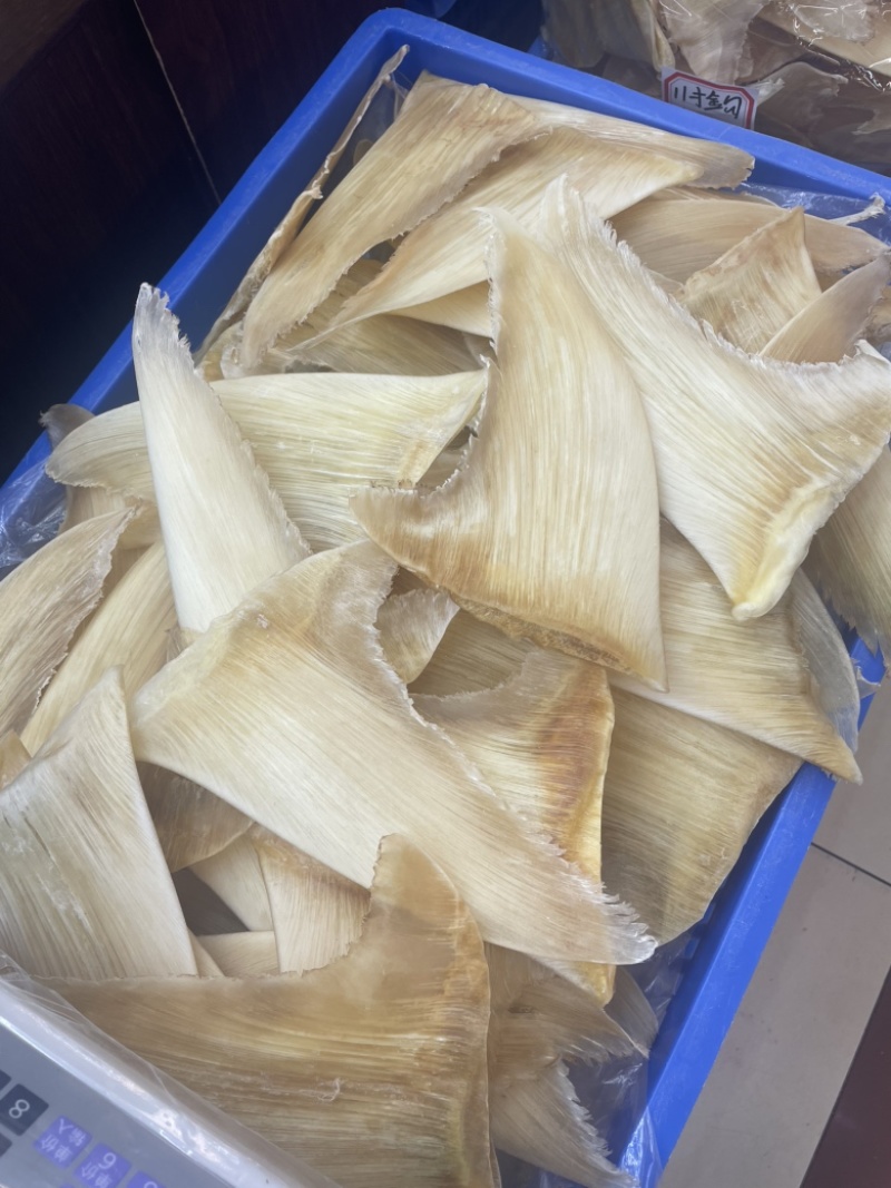 鱼翅，五羊翅，金勾翅牙捡翅茶勾翅青片翅沙青翅