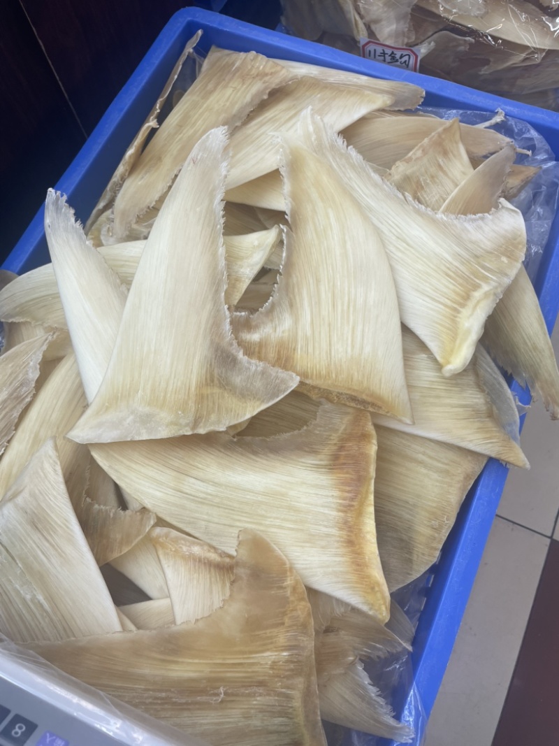 鱼翅，五羊翅，金勾翅牙捡翅茶勾翅青片翅沙青翅