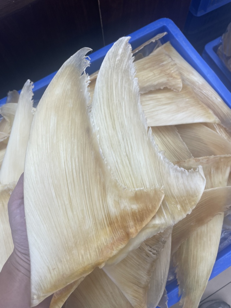 鱼翅，五羊翅，金勾翅牙捡翅茶勾翅青片翅沙青翅