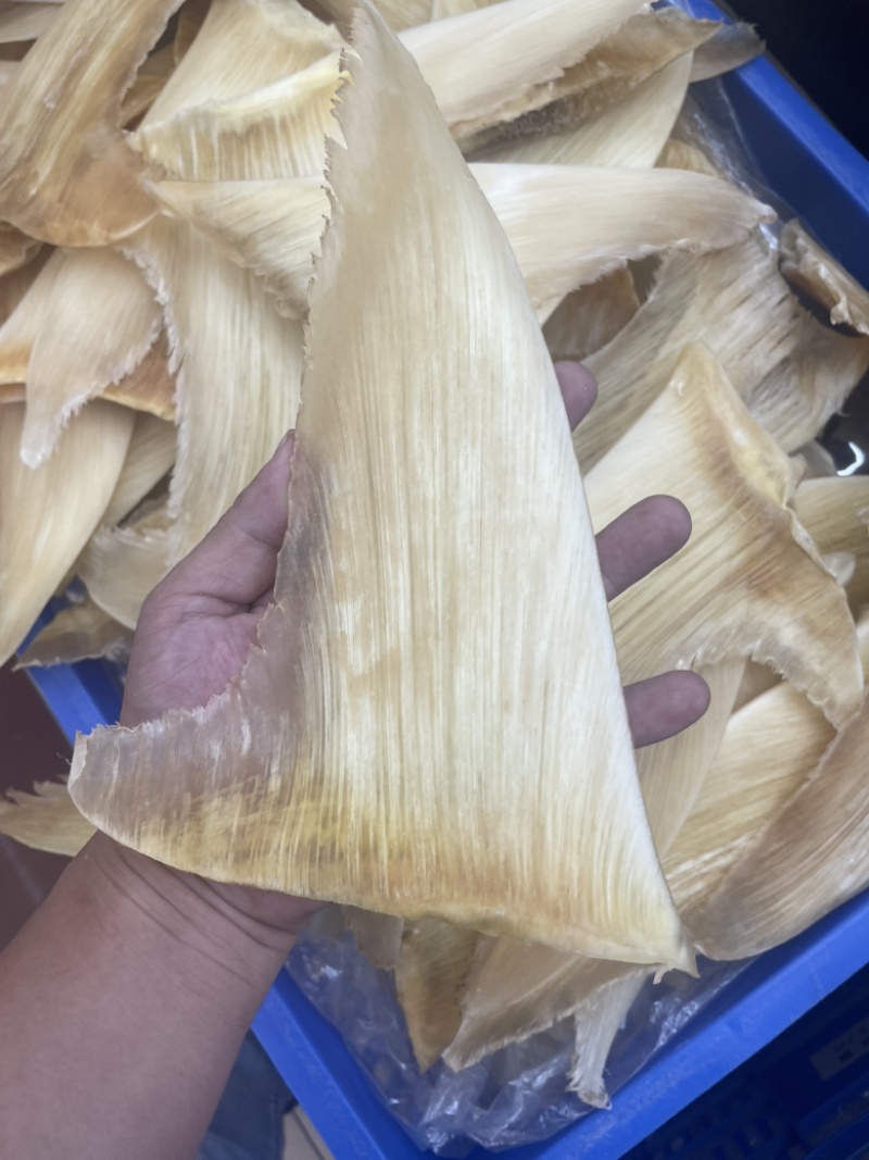 鱼翅，五羊翅，金勾翅牙捡翅茶勾翅青片翅沙青翅