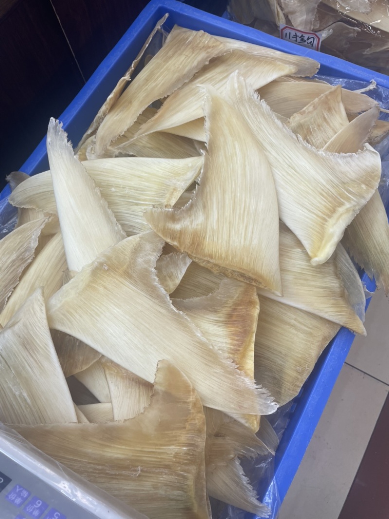 鱼翅，五羊翅，金勾翅牙捡翅茶勾翅青片翅沙青翅