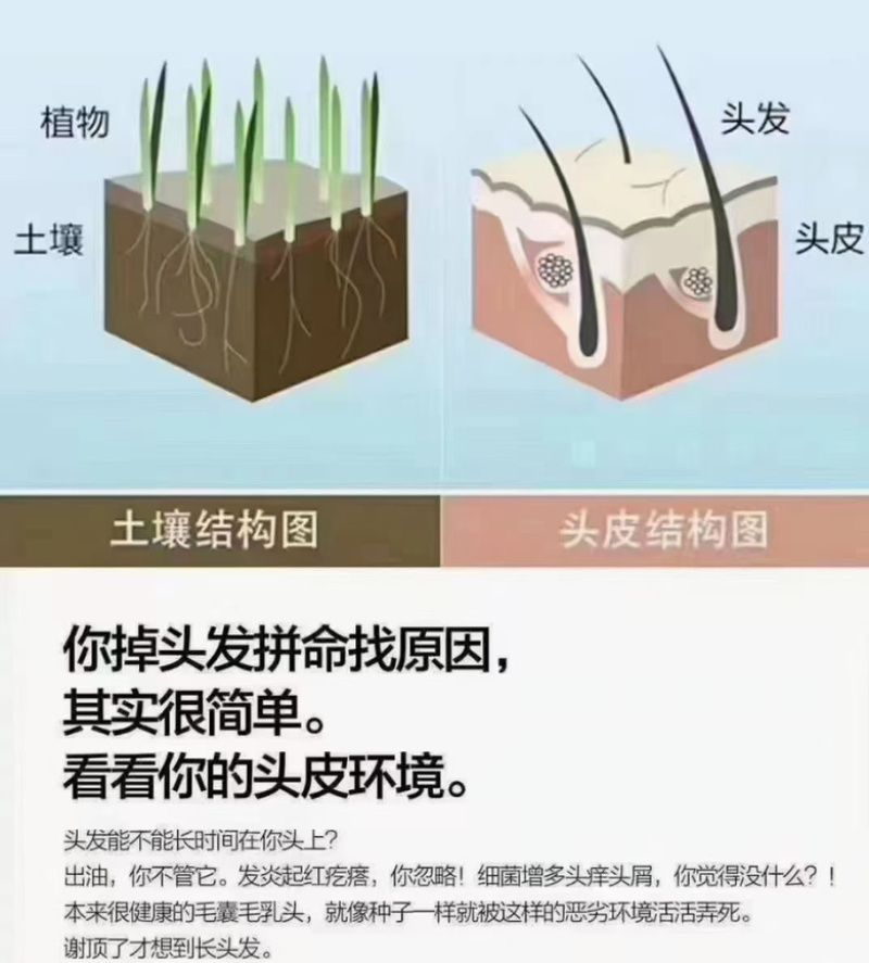 恩施中药洗发露