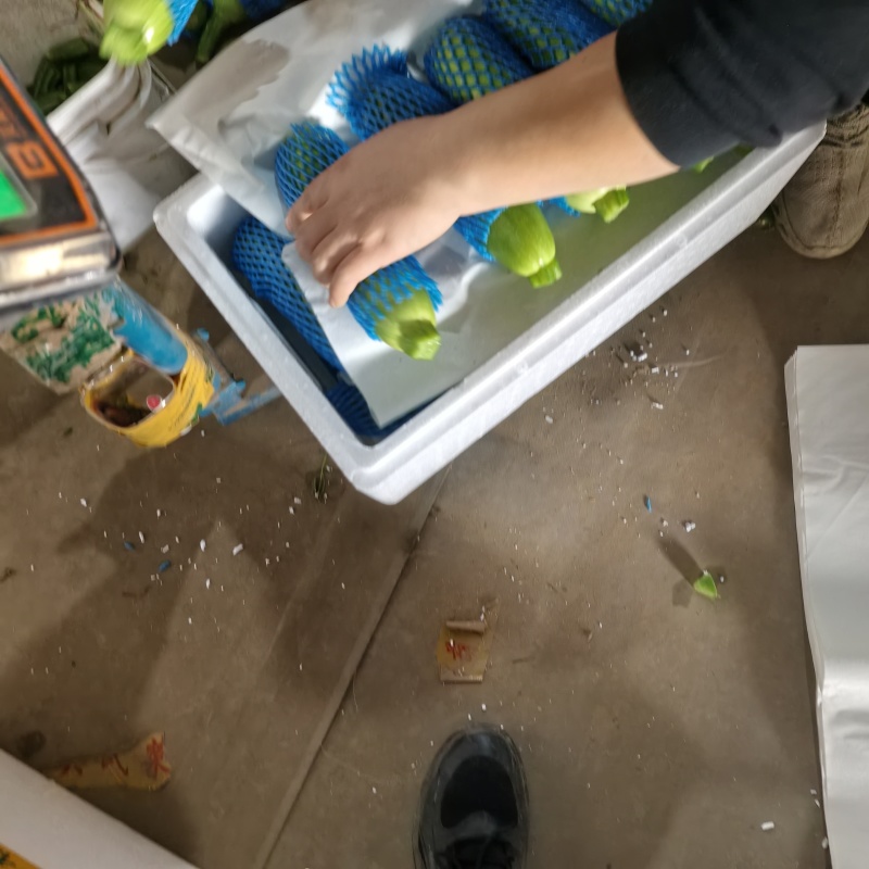 精品油绿西湖。