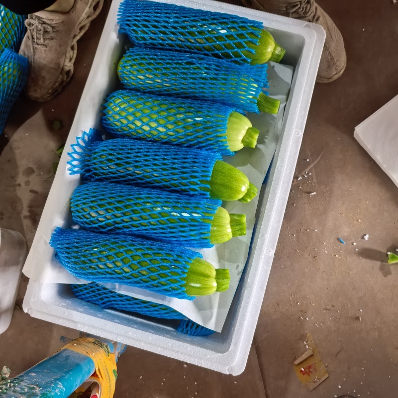 精品油绿西湖。