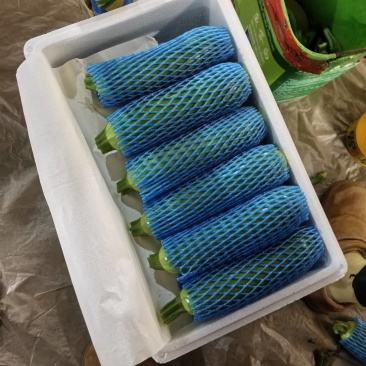 精品油绿西湖。