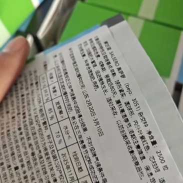 必久公司奥萨罗紫甘蓝种子