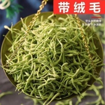 金银花头茬花颜色好质量保证诚信经营批发零售各种花