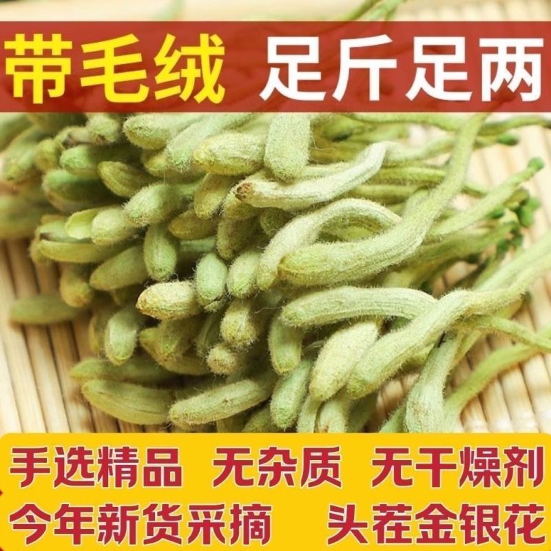 金银花头茬花颜色好质量保证诚信经营批发零售各种花
