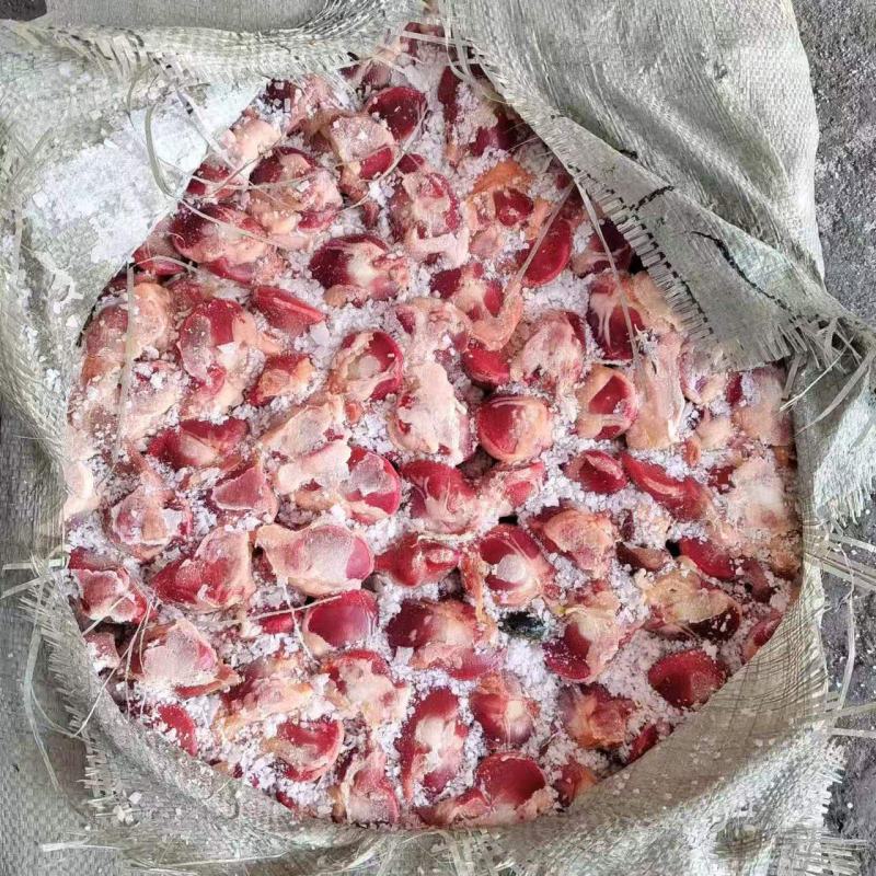 老麻鸭毛胗