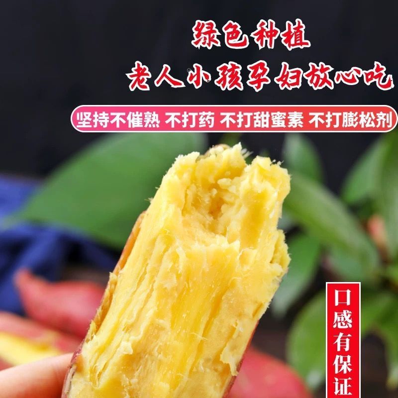 陕西咸阳板栗红薯/蜜薯/红薯/基地直发/当天发货
