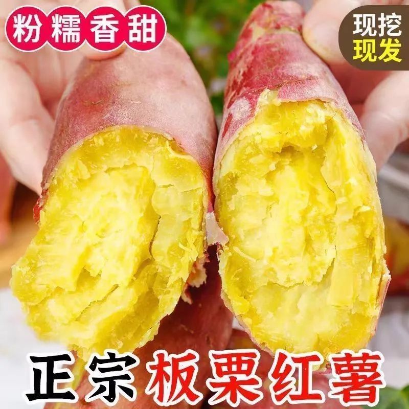 陕西咸阳板栗红薯/蜜薯/红薯/基地直发/当天发货