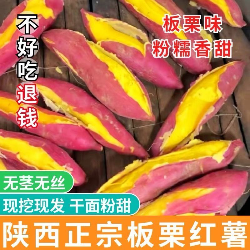 陕西咸阳板栗红薯/蜜薯/红薯/基地直发/当天发货
