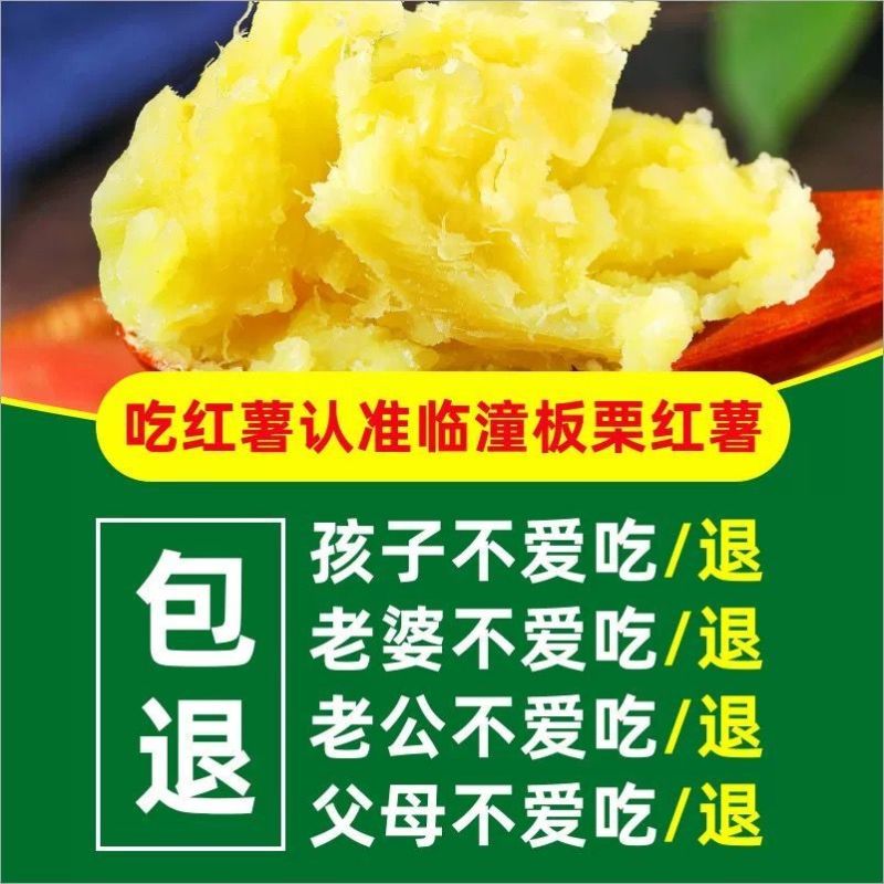 陕西咸阳板栗红薯/蜜薯/红薯/基地直发/当天发货