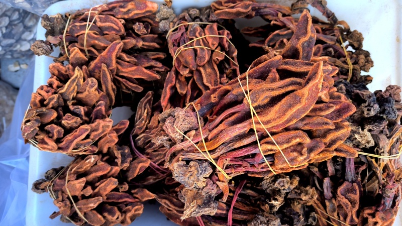 回春草无硫质量保证诚信经营批发零售包邮