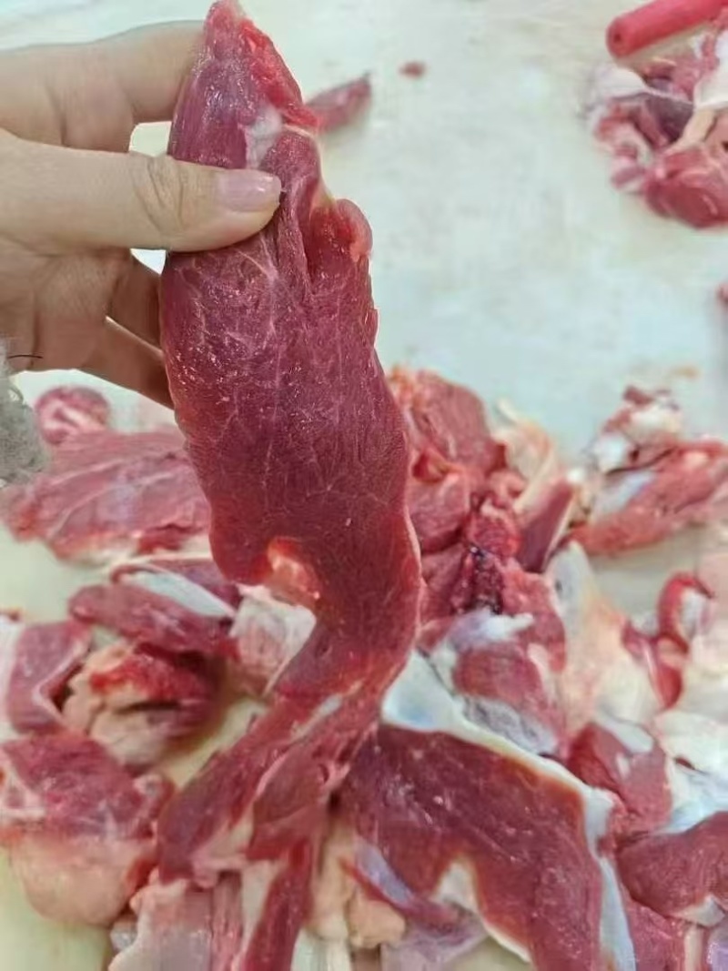 储鹏热卖*大块牛肉筋
