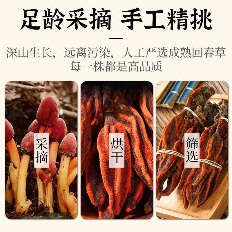 回春草无硫质量保证诚信经营批发零售包邮
