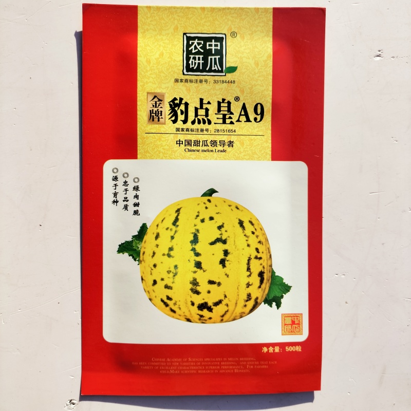 金牌豹点皇A9甜瓜种子高产抗病抗裂超甜豹点香瓜种籽四季水