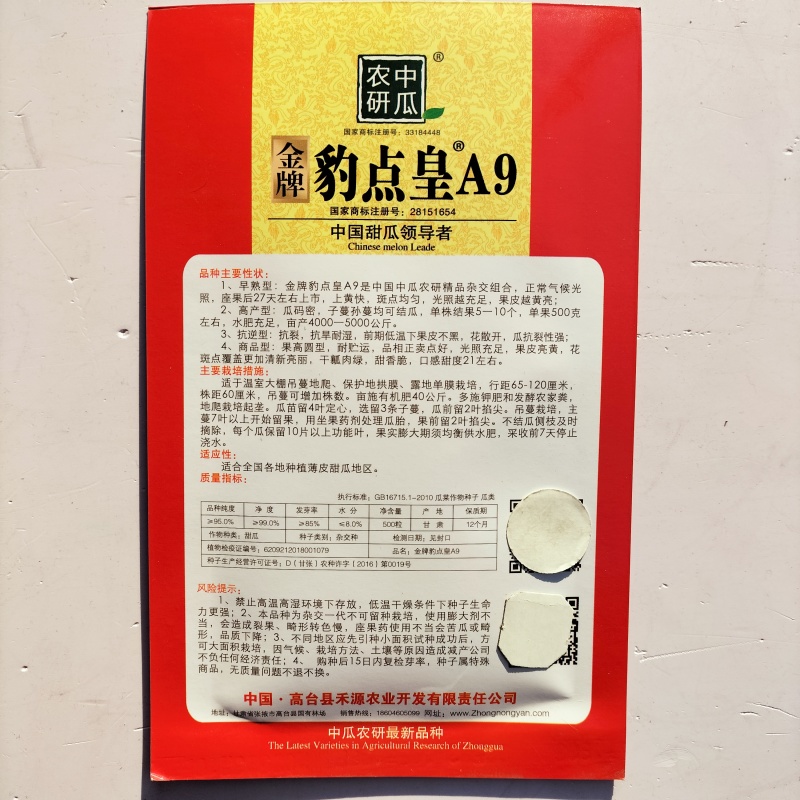 金牌豹点皇A9甜瓜种子高产抗病抗裂超甜豹点香瓜种籽四季水
