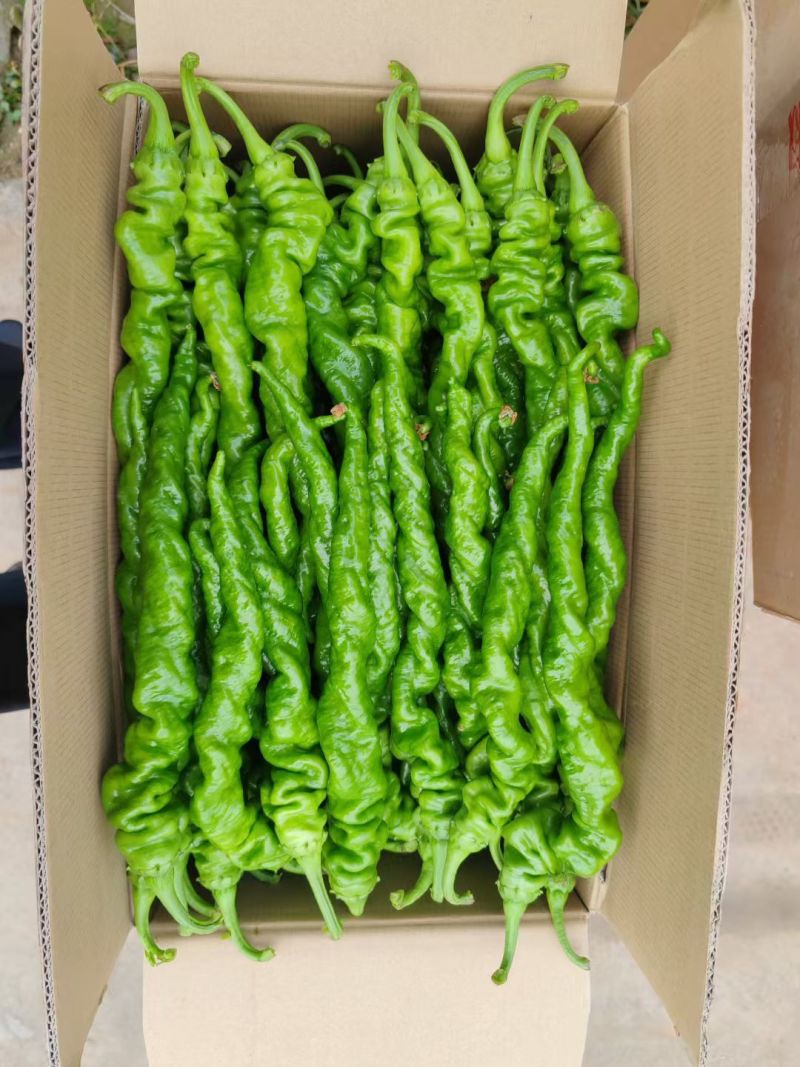 螺丝椒