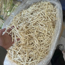 沙参小节