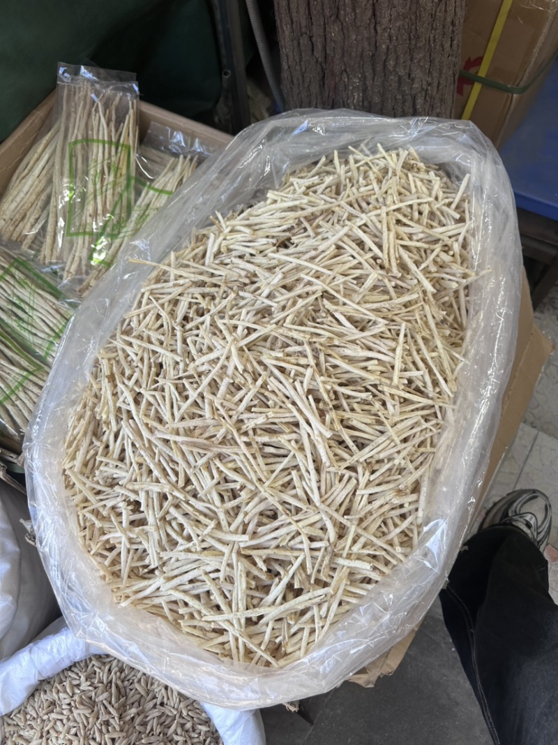 沙参小节