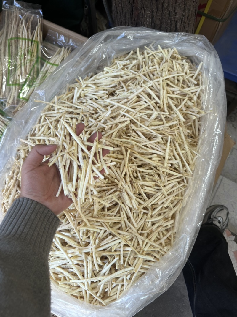沙参小节