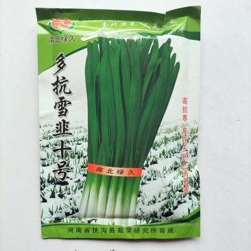 多抗雪韭十号韭菜种子冬季不休眠抗重茬春秋播种宽叶抗寒蔬菜