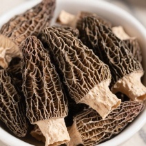 羊肚菌无熏硫羊肚菌干菌菇食材虫完整干净无沙杂质