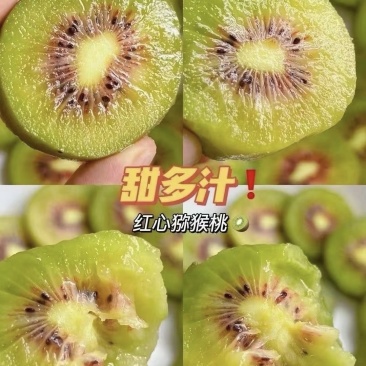 乐业县猕猴桃，产地源头代办代发，量大从优品质保障
