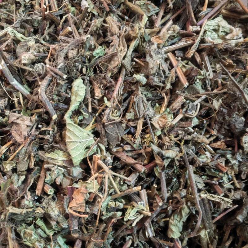 血见愁草药