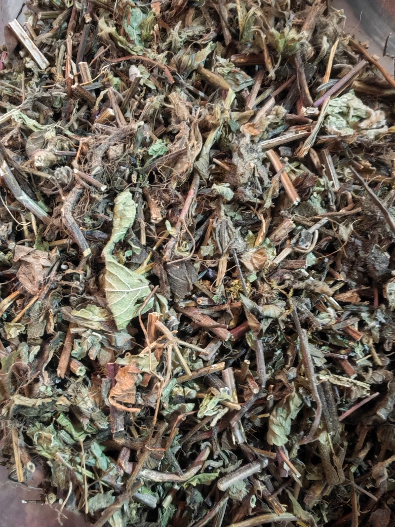 血见愁草药
