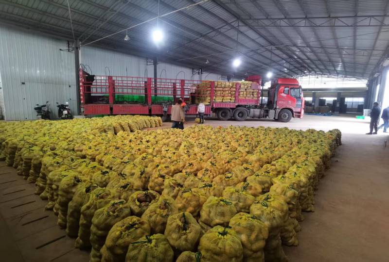 中国台湾.台农57号地瓜产地直发一手货源品质保障全国发