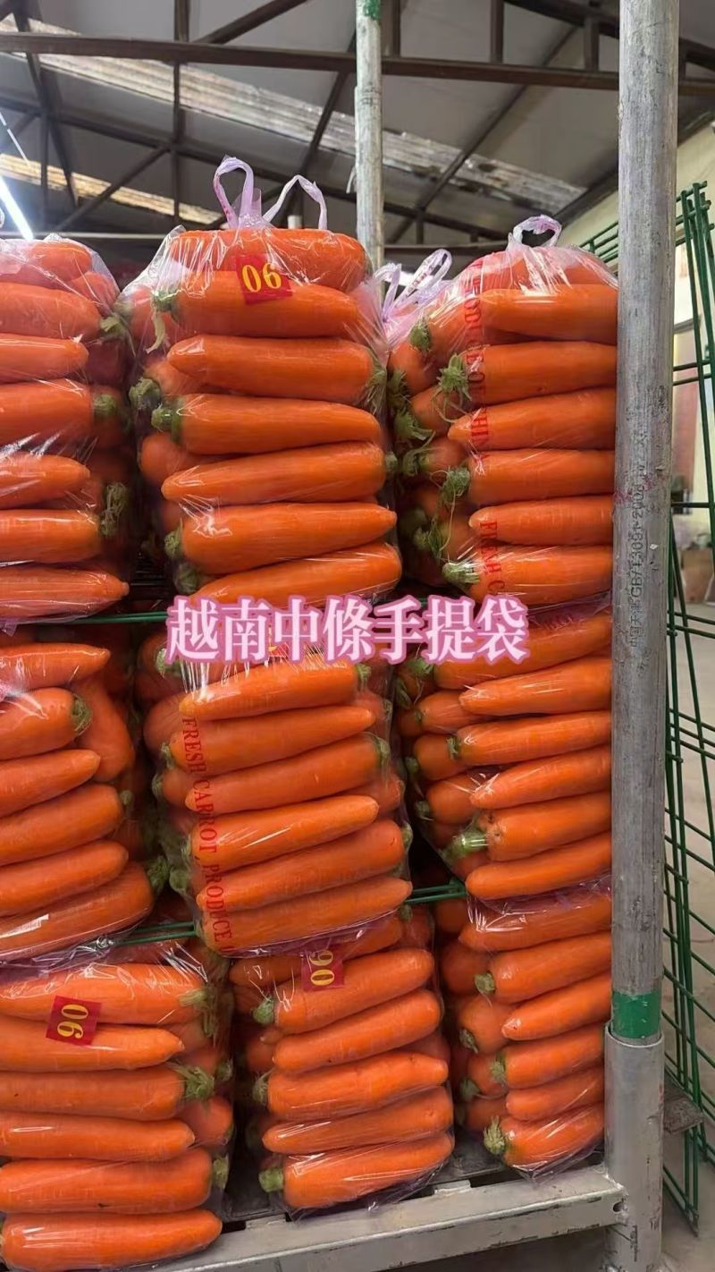 胡萝卜出口品质精品商超市场批发中条小条土货新苗产地直供