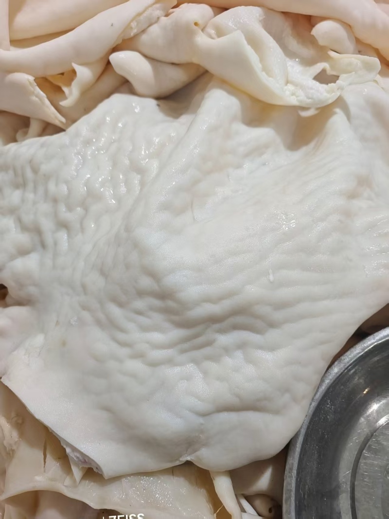羊皮羊皮丝