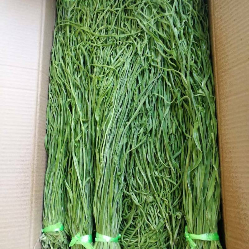 精品贡菜干热销全网优质优价供货量大全国发货