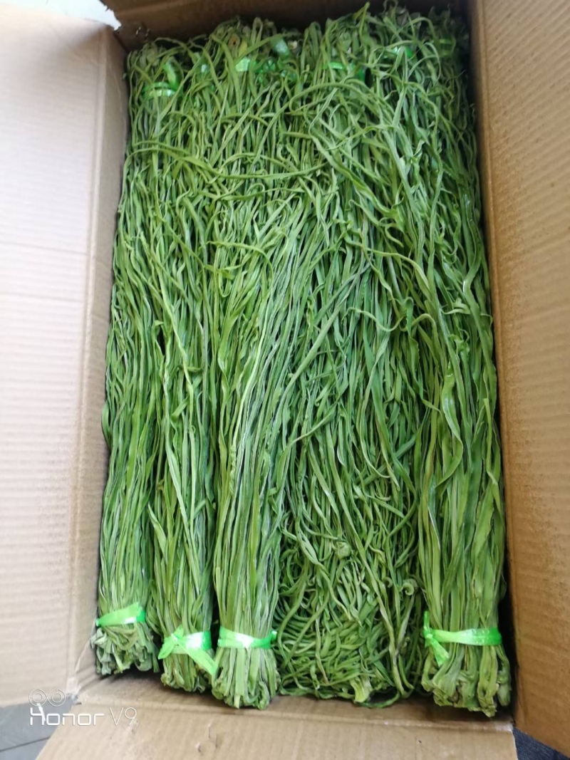 精品贡菜干热销全网优质优价供货量大全国发货