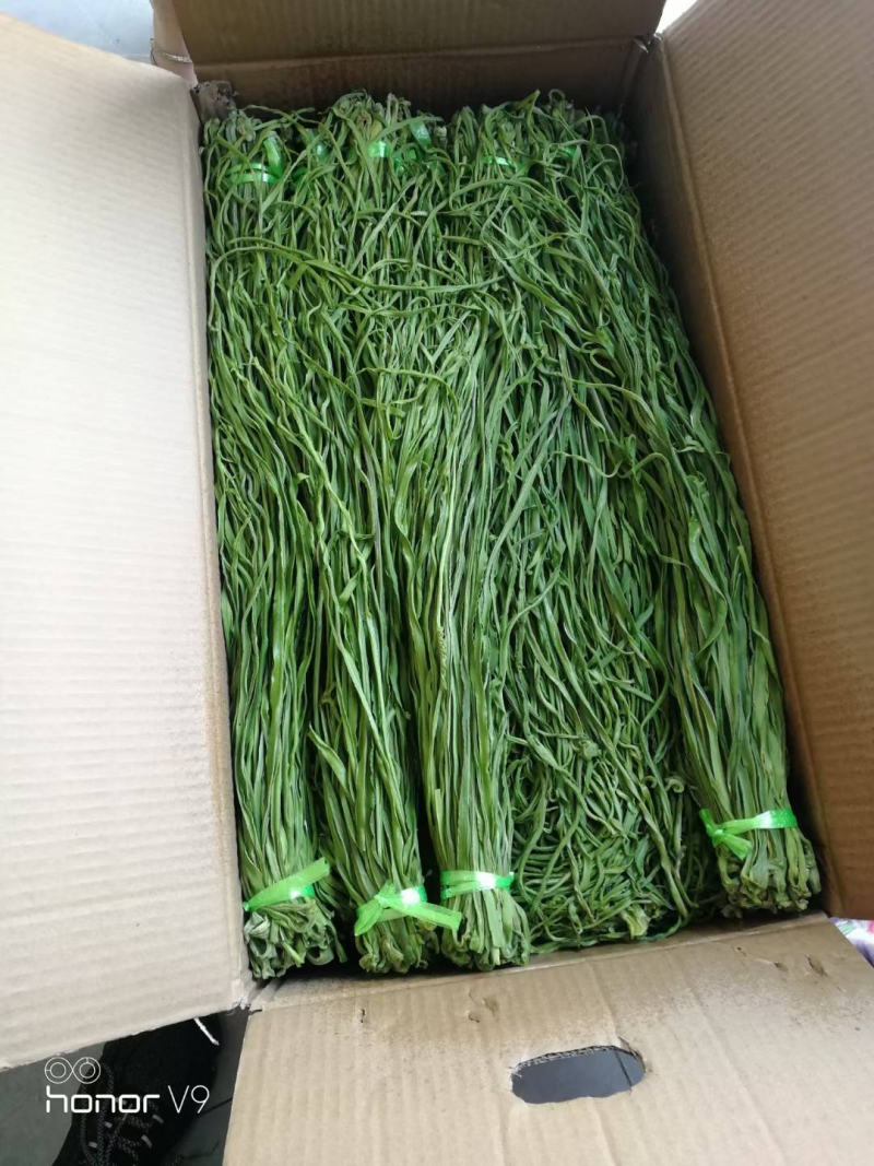 精品贡菜干热销全网优质优价供货量大全国发货