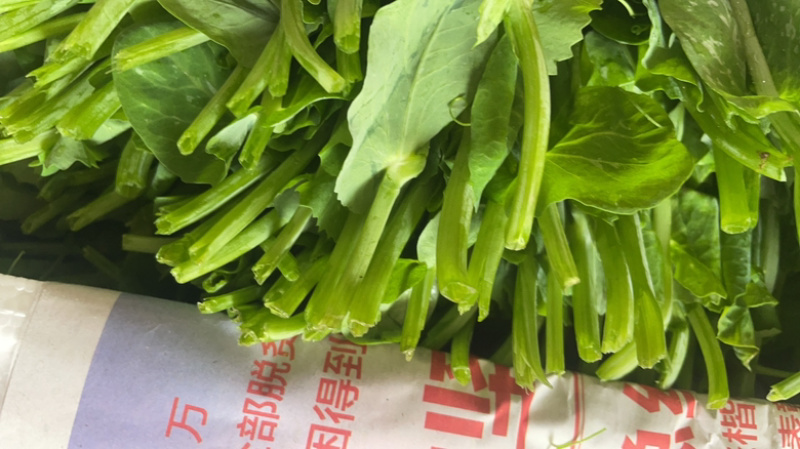 贵州高山豌豆尖