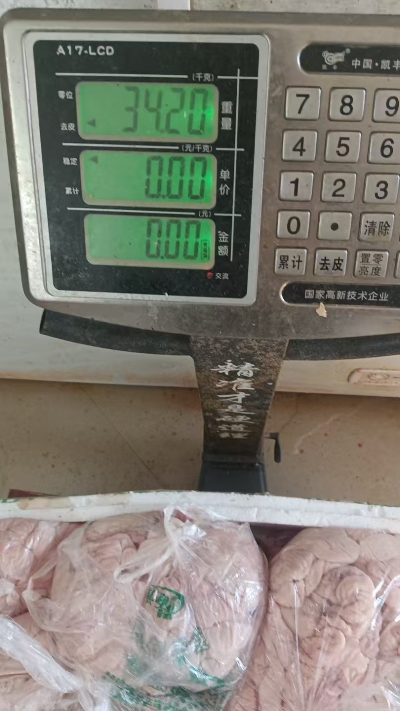 新鲜猪大肠去油干净无腥量大从优欢迎选购