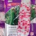 花糯玉米种子沃蔬迪彩甜糯676一件代发量大优惠