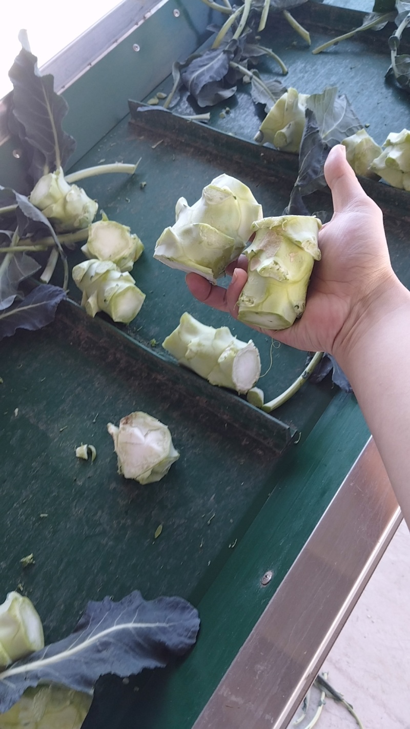 西兰花头