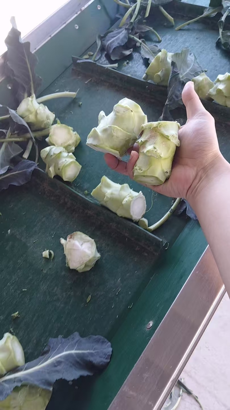 西兰花头