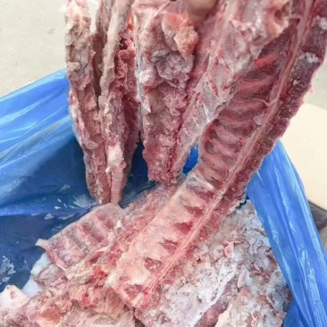 797背骨现货14吨