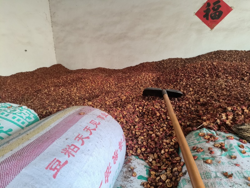 山楂干通货现货30吨左右