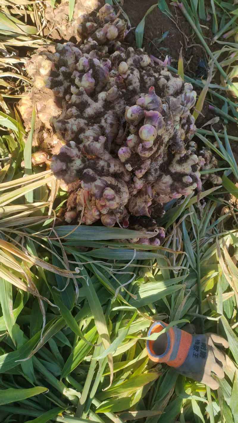 有需要的老板可以联系我