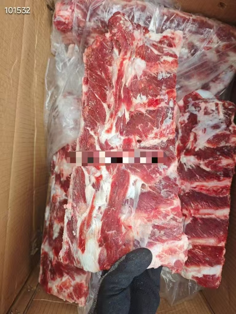 公牛牛肩胛骨