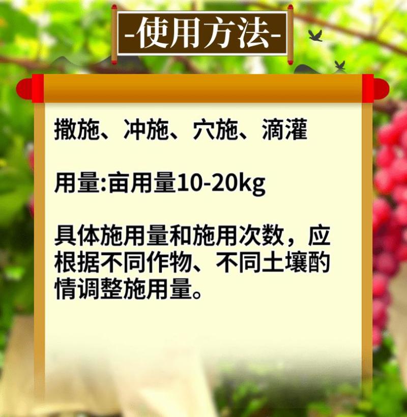钙镁硼铁锌全水溶颗粒肥20公斤果树柑橘蔬菜大田撒施沟施肥