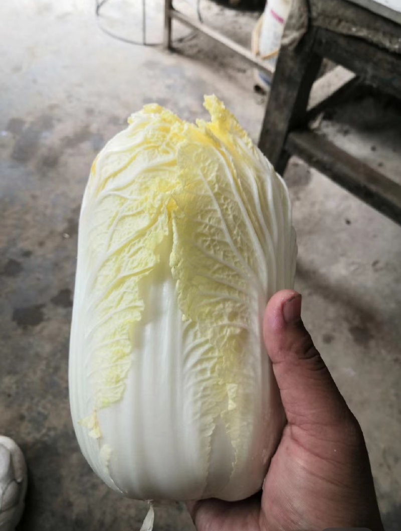 娃娃菜，产地直发，人工挑选，质量保证，价格美丽，信誉商家