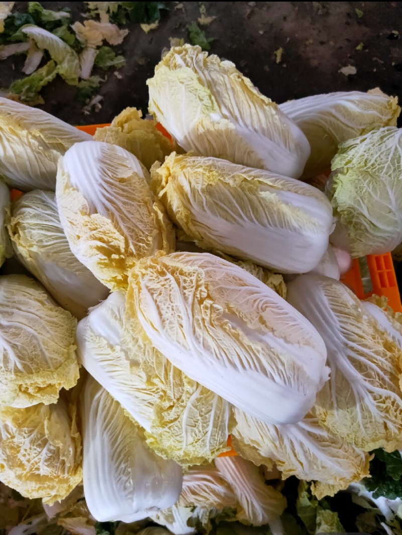 娃娃菜，产地直发，人工挑选，质量保证，价格美丽，信誉商家