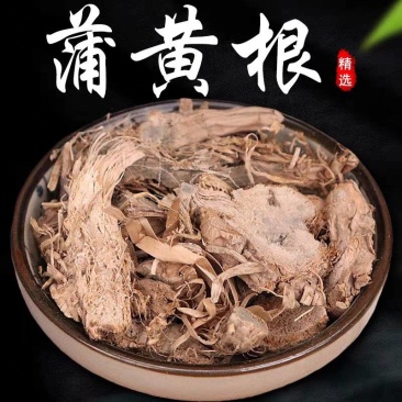 中药材蒲黄根野生香蒲根蒲儿根包草根新货一手货源